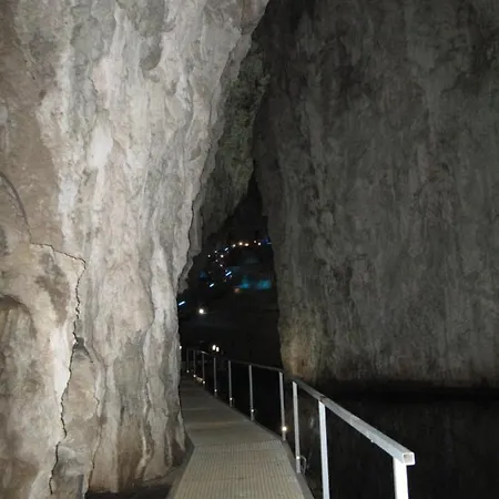 Hedonist 즐라티보