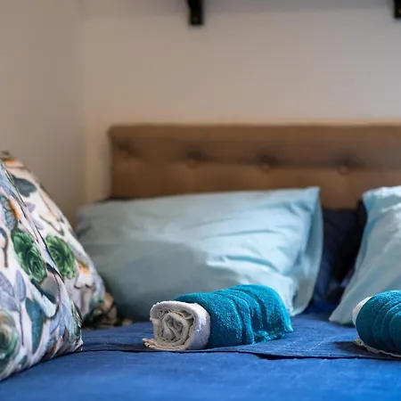 Hedonist * 즐라티보